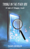 Afterlife Mystery.  Book about life after death and Heaven